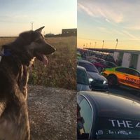 thor_cabrillamontesa