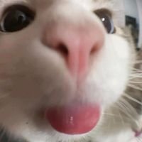 mqyqqq8