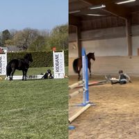 theswedishequestrians