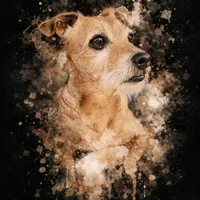 original sound - leitwolfs_wife