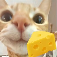 cheesykattt