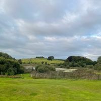 eoghanrea