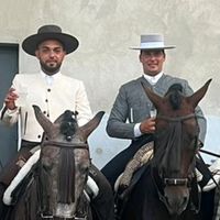 pasionpoloscaballos