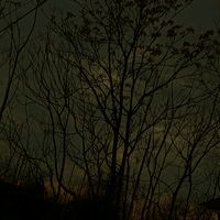 maryuss_001