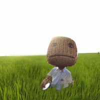 jsspnkmn22