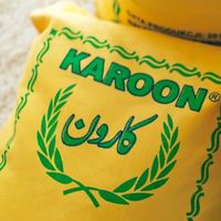karoon.rice