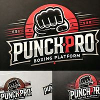 punchpro27