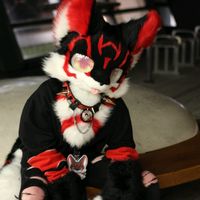 lilkojikitten_