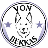 vonbekkasgsd