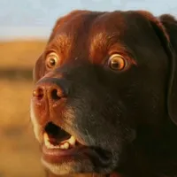 original sound - the_progress_report