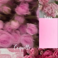 la_vie_en_rose47