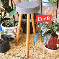 evebprojectsbackup