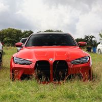 spot_by_will