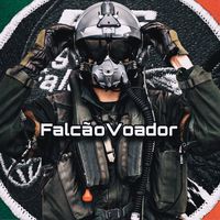 falcaovoador