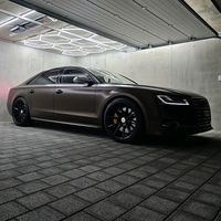 s8_brownbear