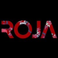 extensii.invizibille