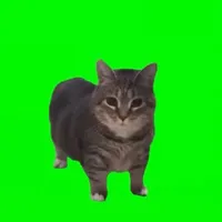 original sound - oiiaoiia_coin