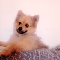 nuria_parejo_arrebola