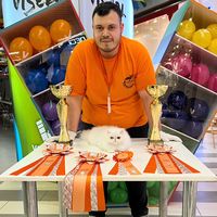 flavius.cats.cattery