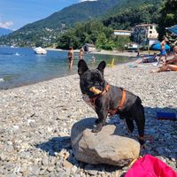 sono il Patatino del tuo cuoricino