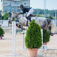 amandaeliassons