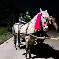 ungureanumariangabriel