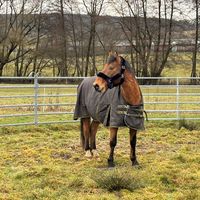 neighflixandride