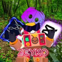 sk_zeyko