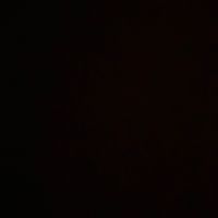 songs.431
