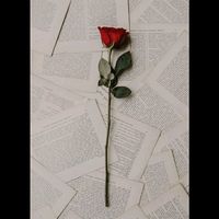 cont_cu_de_toate21369