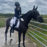 svdw.equestrian