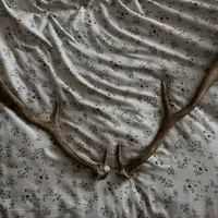 original sound - macertoni