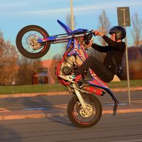 palmo_06