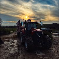 danharding10