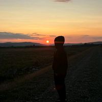 sunet original