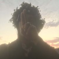 peter fox hoodtrap n