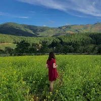 original sound - tiengphapaurore