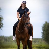 bianca_workingequitation