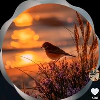 hireq.jozy.nl