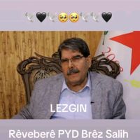 orijinal ses