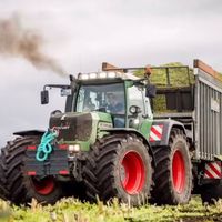 levi85314