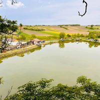 balta_rary_sofracesti_