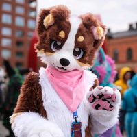 kindridfox