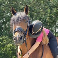 kadootje.de.newforest