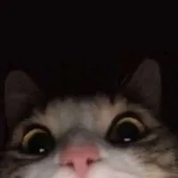 original sound - pakistani_nawabs3