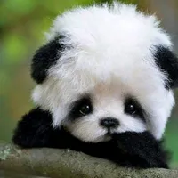 original sound - simona0566