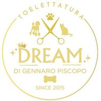 toelettaturadream