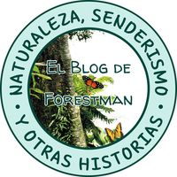 blogdeforestman
