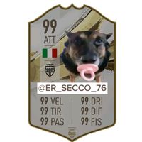realersecco_76