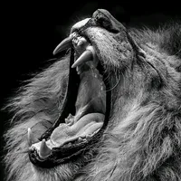 original sound - heart.broken_10